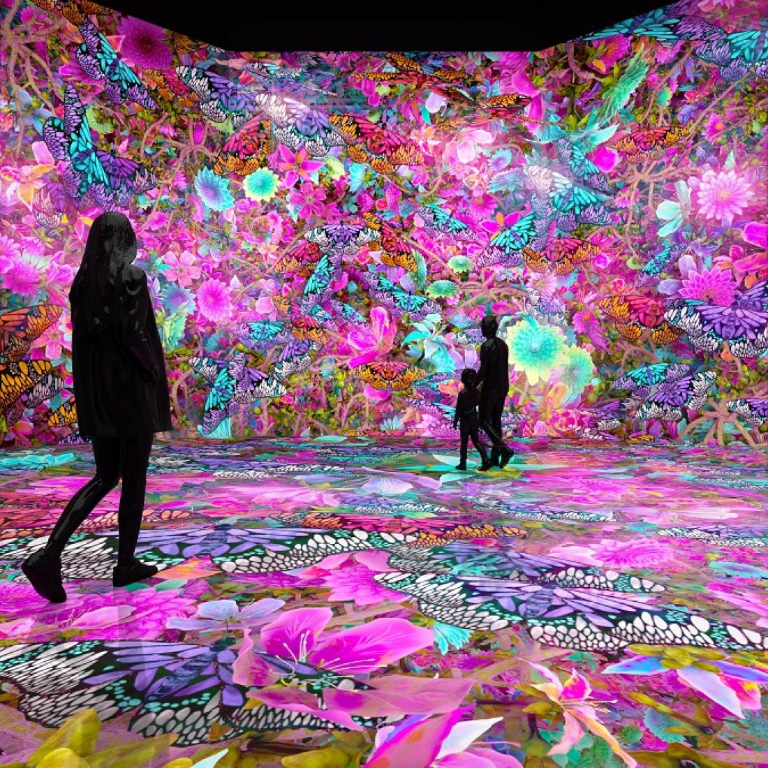 PIXELBLOOM Timeless Butterflies Capital Region USA